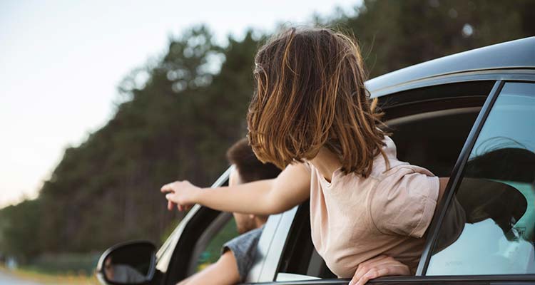 جاده ای که دانمارک را به هم متصل می کند