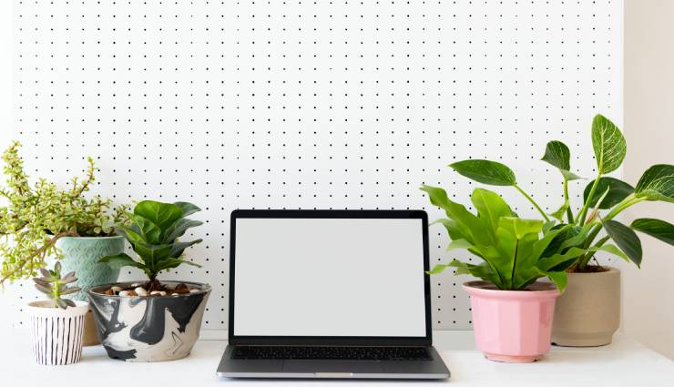 ۹ اثر مثبت وجود گل‌وگیاه در محیط کار