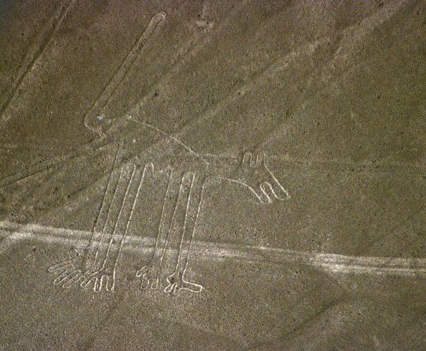 آیا اجساد رونمایی شده در کنگره مکزیک متعلق به موجودات فرازمینی است؟