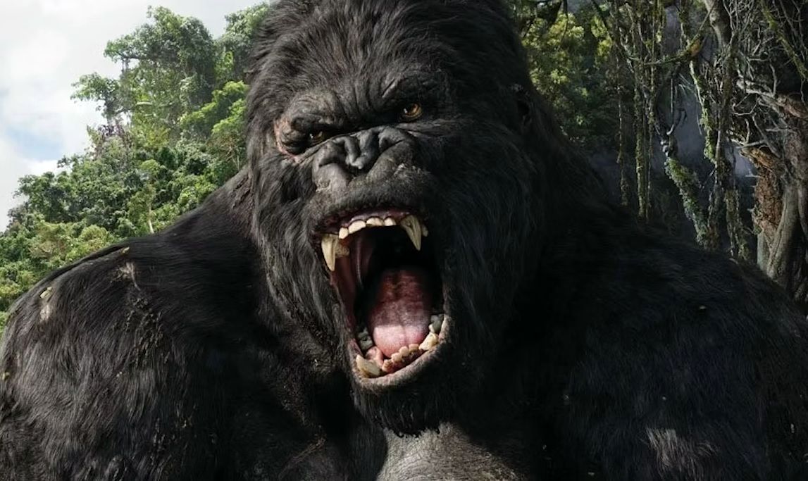 (تصاویر) ۸ فیلم هیجان انگیز با چاشنی ماجراجویی در جنگل