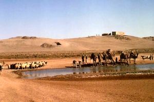 عصر کشاورزی احتمالا در سوریه و با انفجار یک دنباله دار، آغاز شده است