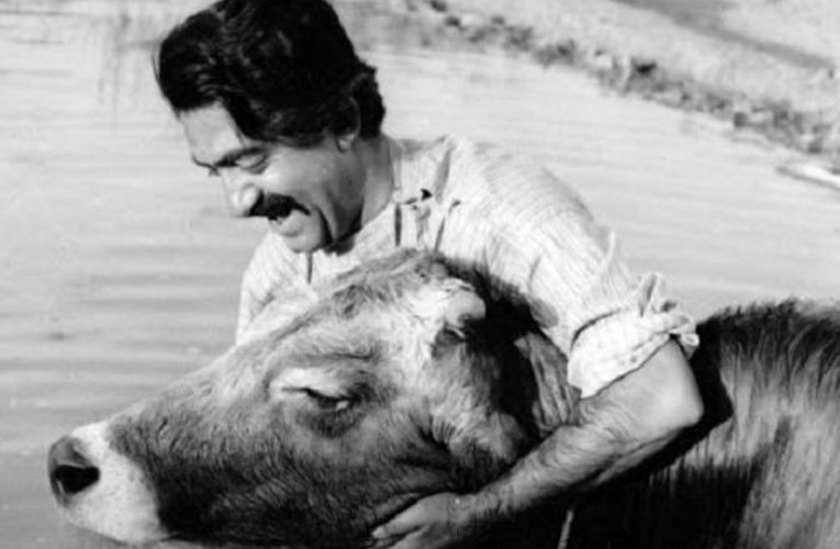 «گاو» با چند هزار تومان ساخته شد؟