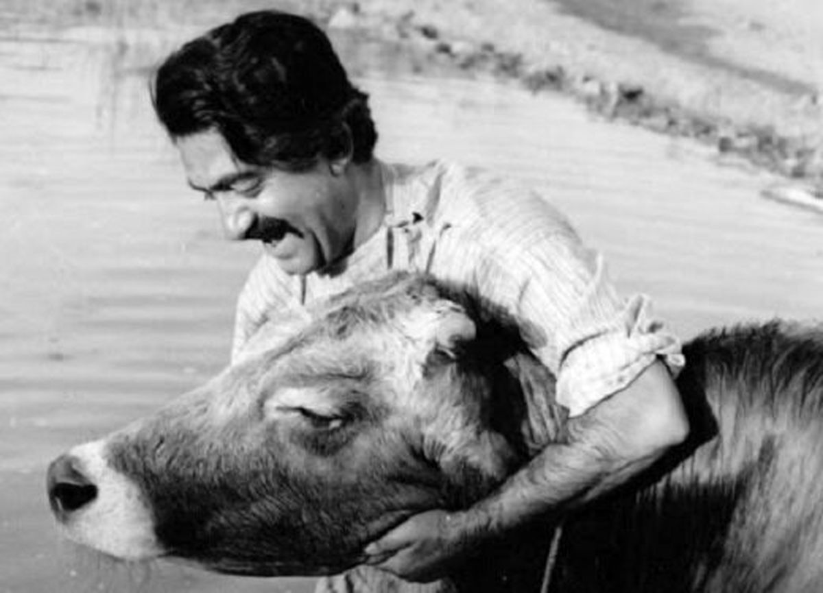 «گاو» با چند هزار تومان ساخته شد؟