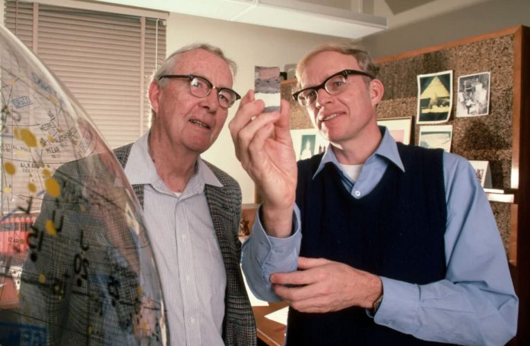 انقراض دسته جمعی چیست و چرا دانشمندان فکر می‌کنند ما در میانه یک انقراض قرار داریم؟