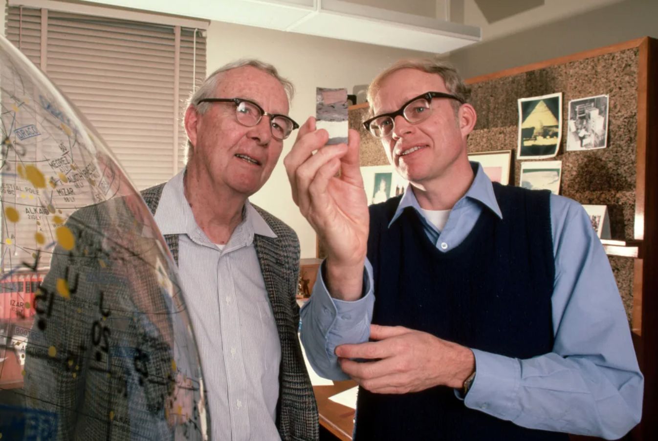 انقراض دسته جمعی چیست و چرا دانشمندان فکر می کنند ما در میانه یک انقراض قرار داریم؟ (مطالب سی ان ان معمولا زود میسوزن زیرنویس عکس ها در متن گنجانده و ذکر شده اند)