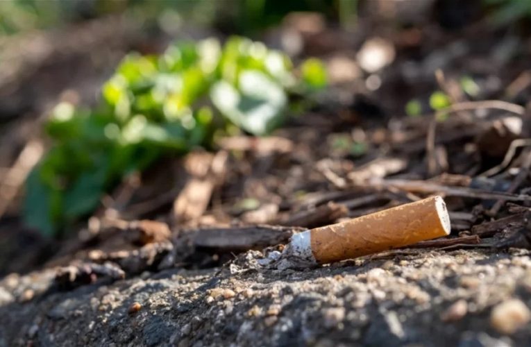 تبدیل ته‌سیگار به سوخت بیودیزل