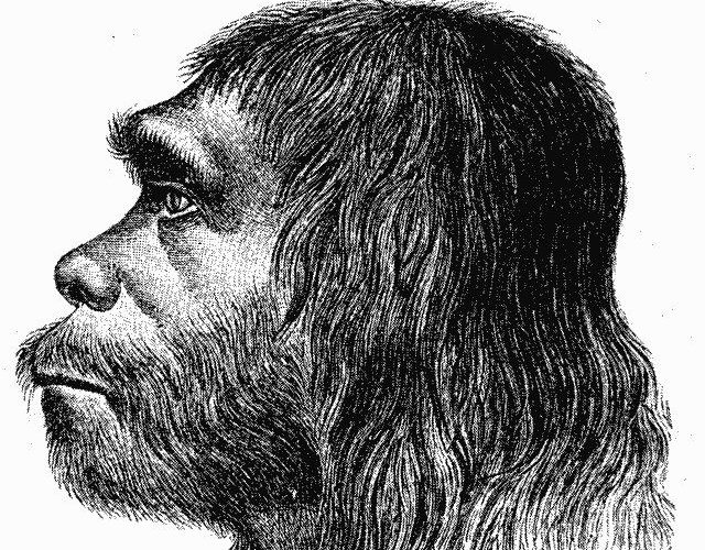 کشف راز سحرخیز بودن برخی انسان‌ها/ پای عموزاده‌های ابرو کلفت درمیان است