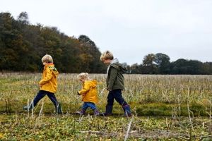 آیا ترتیب تولد بر شخصیت ما تاثییر می‌گذارد؟