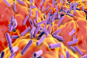 اولین واکسن سرطان روده امکان پذیر ظرف ۲ سال آینده در دسترس باشد