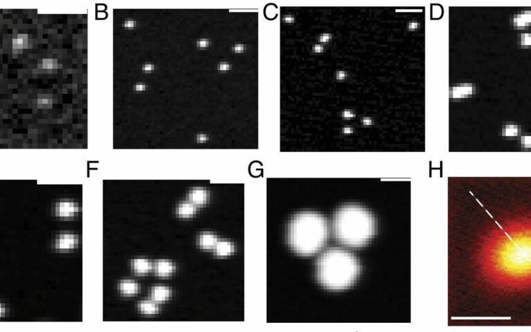 با نوشیدن آب از بطری پلاستیکی، انبوهی نانوپلاستیک هم می‌نوشید