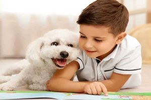 سگ و گربه برای کودکان آلرژی زا می باشند