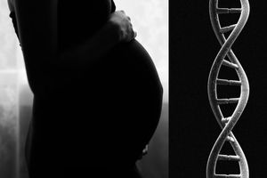 مرموزترین سلول‌های بدن مان به ما تعلق ندارند/ شما تکه‌هایی از مادرتان و احتمالا مادر بزرگ، خواهر و برادر و خاله و دائی تان را حمل می‌کنید