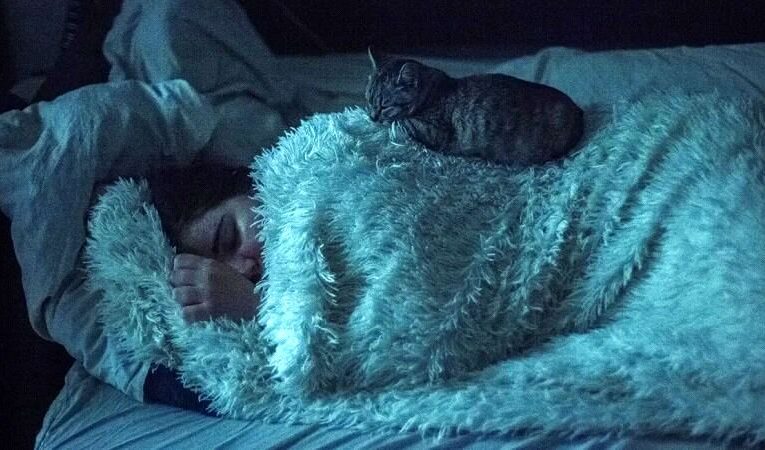 معمای خواب زمستانی انسان‌ها/ آیا انسان ها هم همانند حیوانات نیاز به خواب زمستانی دارند؟