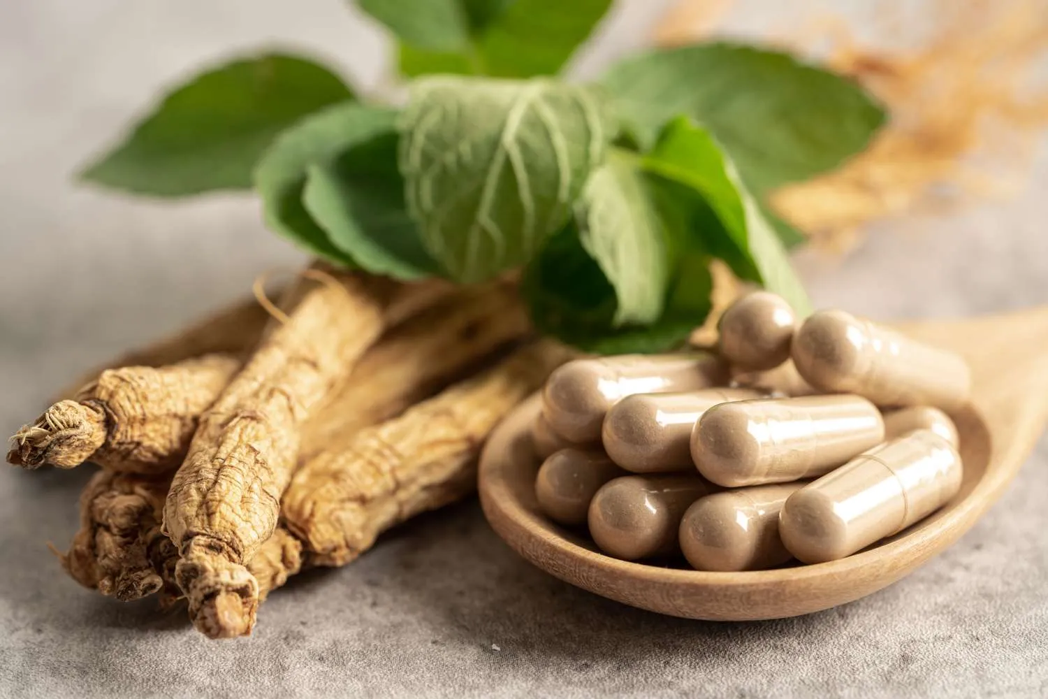 مزایا جینسینگ برای مردان و زنان چیست؟ 16 Ginseng 2
