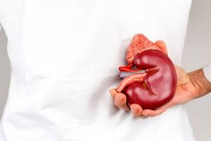 این مواد غذایی به کلیه‌ها صدمه می‌زنند