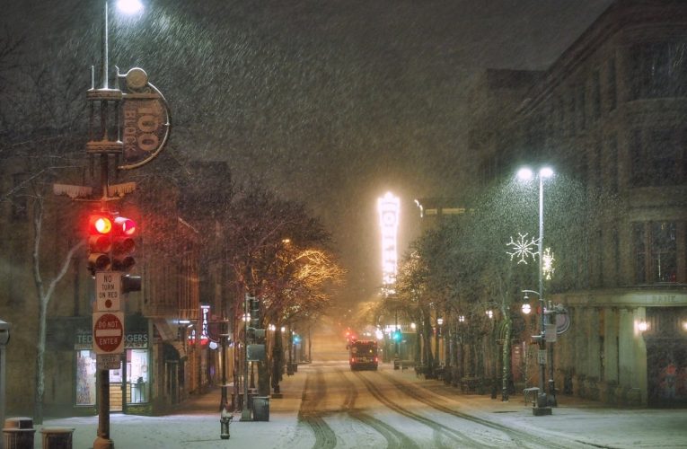” برف تازه ” صدا را جذب می کند