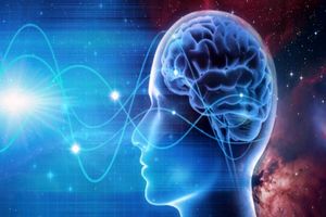 علم درباره لحظات آخر حیات انسان و مرگش چه می گوید؟/ ویدئو