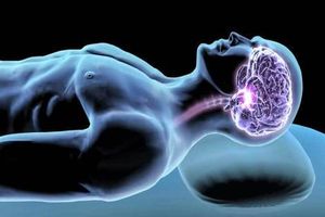 وقتی هیچ کاری انجام نمی‌دهید، مغزتان چه کار می‌کند؟