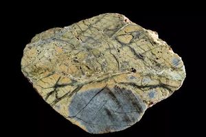 کشف اتفاقی در اعماق اقیانوس شناخت دانشمندان را از زمین تحول داد