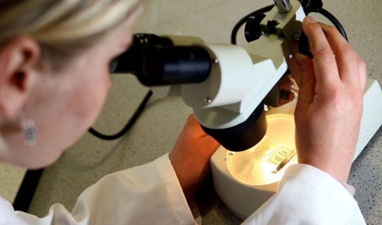 دانشمندان موفق به حذف ویروس HIV از سلول های آلوده شده‌اند_آینده