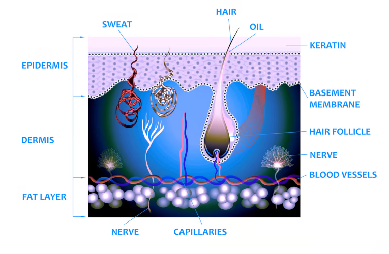 درمان ریزش مو با کراتین
