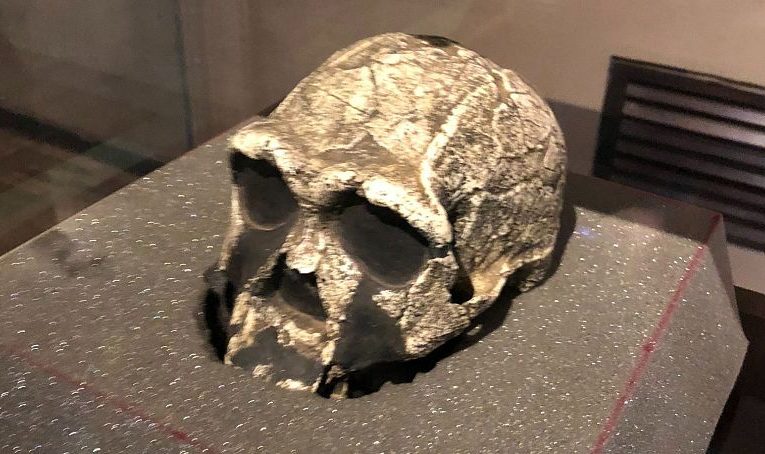 نسل بشر در ۹۰۰ هزار سال پیش از خطر انقراض جان به در برده است_آینده