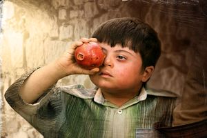 نهادهای فرهنگی برای ساخت فیلم در خصوص سندروم دان حتی یک قدم برنداشتند!