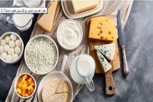چرا چربی لبنی برای بدن خوب است؟_آینده