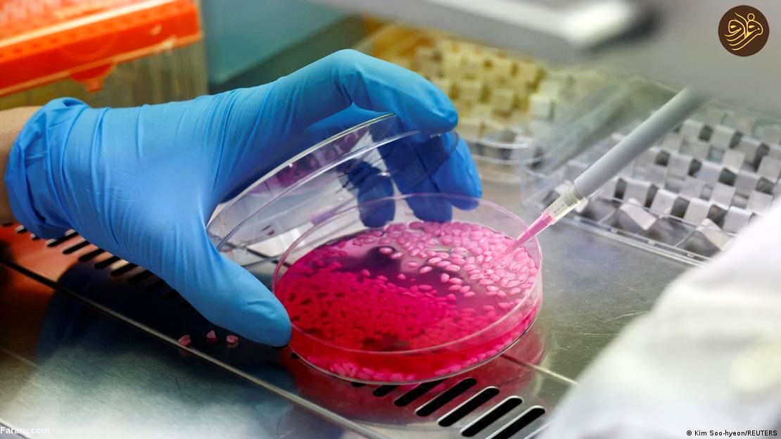 آیا برنج گوشت گاو آزمایشگاهی را می‌ خورید؟ / خوانده شد