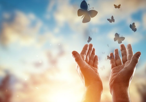 چرا بعضی اوقات نمی توان بخشید و فراموش کرد؟_آینده 26 چرا گاهی نمی توان  فراموش کرد و بخشید؟