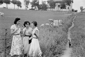 او گفت و گو لذت بی آخر است_آینده