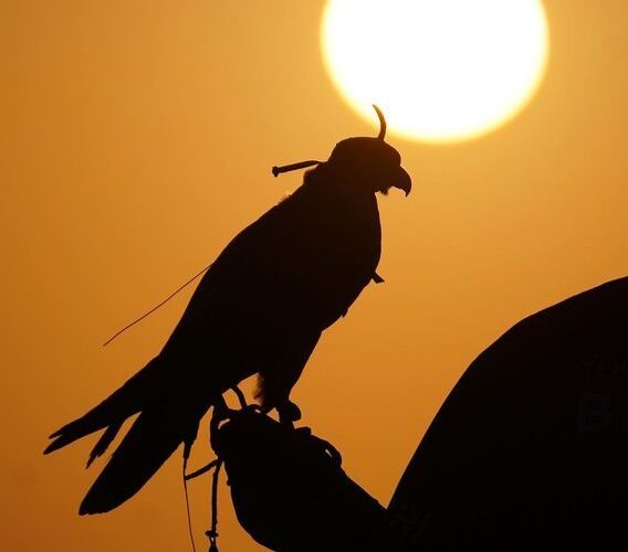 تیپ عربی دل پیرو و خانواده‌اش در صحرای دبی/ تصاویر_آینده