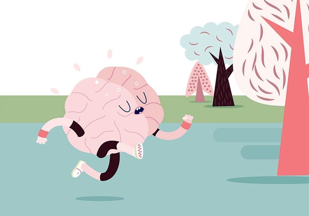 ورزش؛ از تاثیر بر عضلات تا تحریک عملکرد مغز