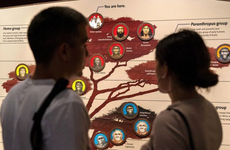 سطح زبانی نئاندرتال‌ها در چه حد بوده؟ آیا نزدیک‌ترین خویشاوندان بشر امروزی سخن بگویید هم می‌کردند؟_آینده