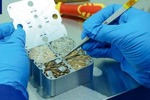 چین با بذرهای فضایی کشاورزی می‌کند!_آینده