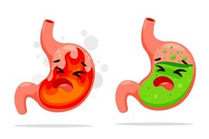 ۱۰ دمنوش گیاهی معجزه آسا برای درمان رفلاکس معده_آینده