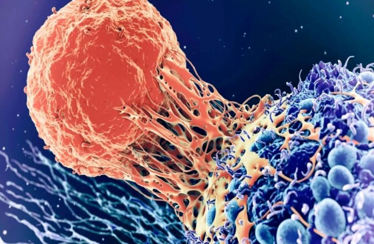 این هوش مصنوعی تازه انگارً می‌تواند ۱۳ سرطان کشنده را با دقت ۹۸ درصد تشخیص دهد_آینده