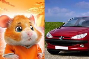 خرید وفروش همستر کامبت با پژو ۲۰۶/ ویدئو_آینده