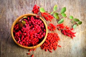 خواص شگفت انگیز زرشک را بشناسید