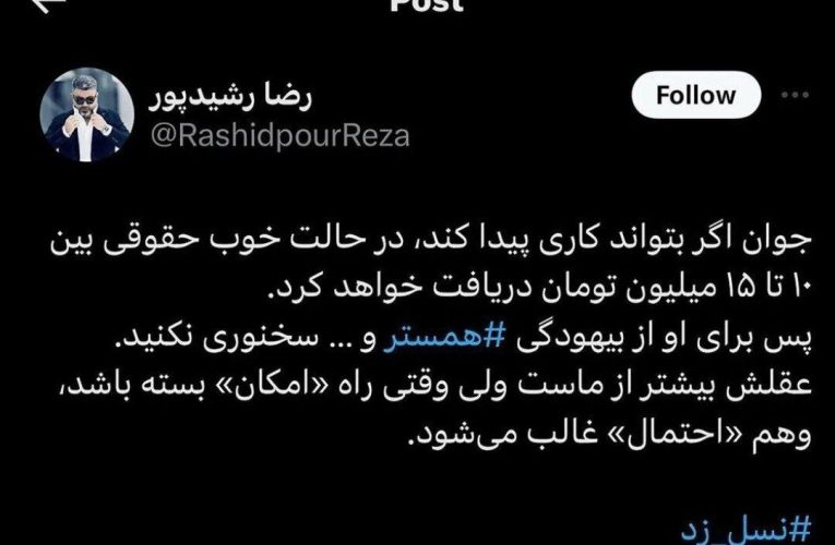عکس العمل رضا رشیدپور به همستر پولساز و پرحاشیه تلگرام/ عکس_آینده
