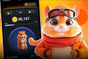 پشت پرده‌ دلواپس کننده همستر کامبت!_آینده