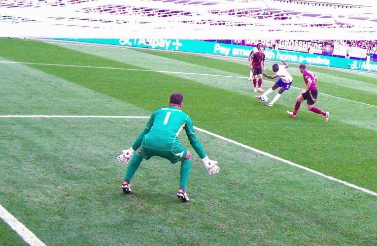 خروس ها کابوس شیطان سرخ شدند!_آینده