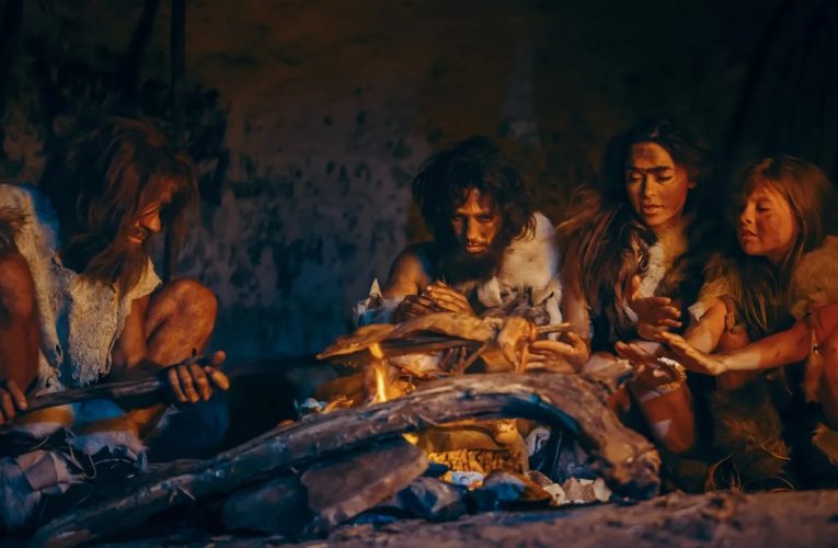 خودآگاهی به جای فرد، به سود اجتماع تکامل یافته است_آینده