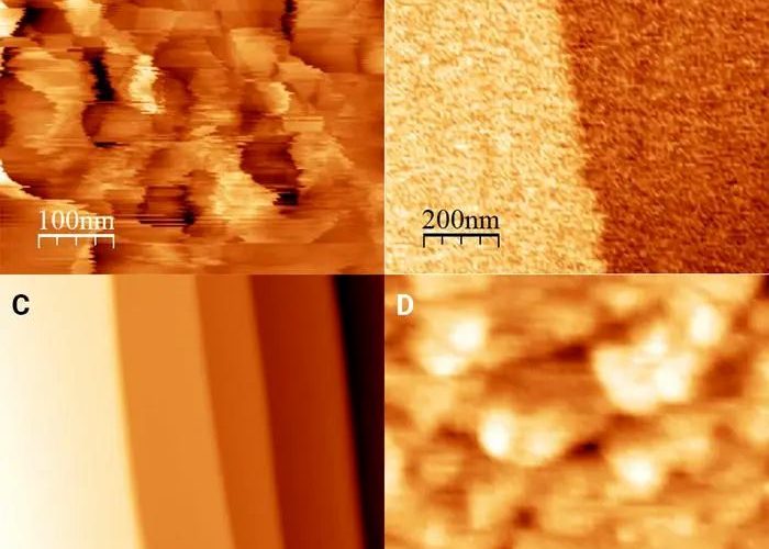 دانشمندان برای اولین بار یک میکروسکوپ را منجمد کردند_آینده