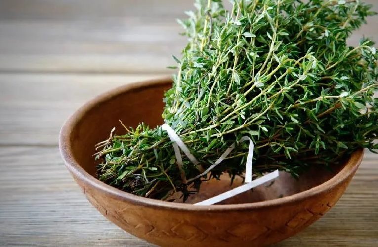 درمان شوره سر با آویشن_آینده