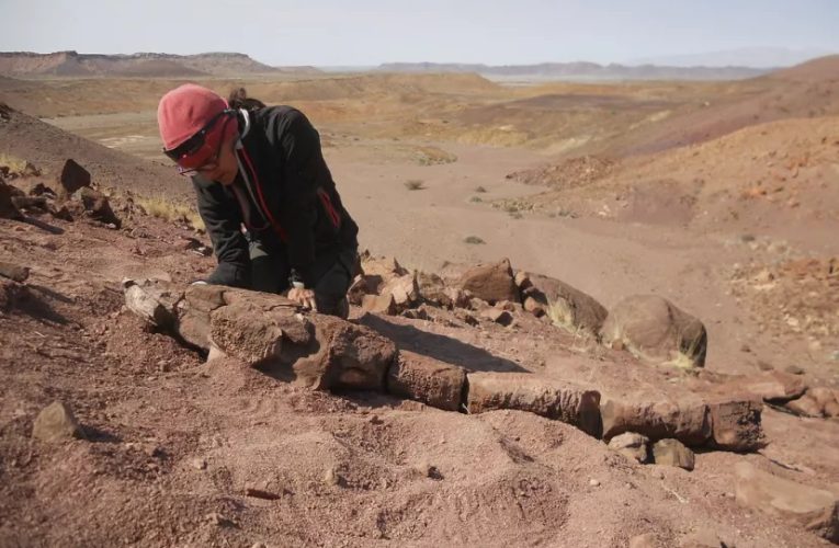 شکارچی‌های غول‌پیکری قبل از دایناسورها وجود داشته‌اند_آینده