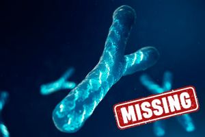 ناپدید شدن کروموزوم Y علتبیماری قلبی می‌شود_آینده