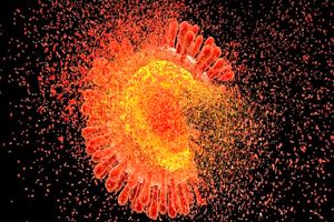 کشف اثربخشی ۱۰۰ درصدی یک دارو در پیشگیری از اچ‌آی‌وی_آینده