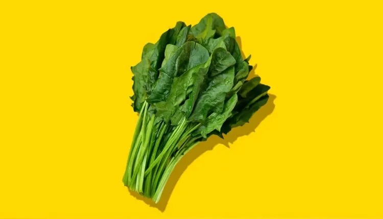 با مصرف این ۱۱ غذا، با عینک خداحافظی کنید_آینده