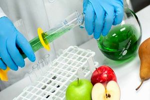 تشخیص سموم باقی‌مانده روی میوه‌ها با تصویربرداری نانویی_آینده